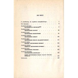 Wielcy i mali twórcy cywilizacji. Od Imhotepa do Leonarda da Vinci